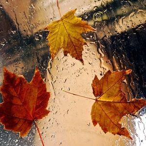 Meet your Posher, Cam